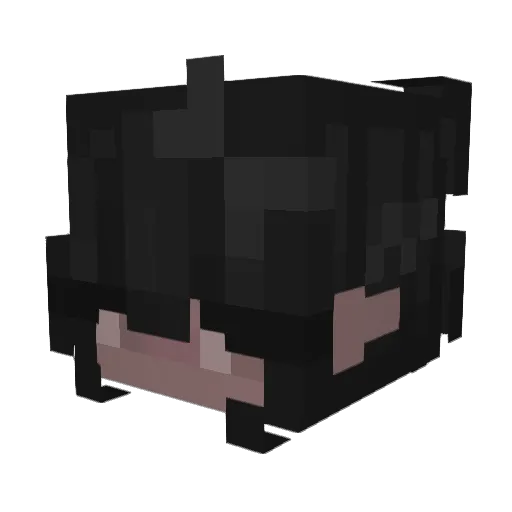 FlutterShy1341 Minecraft avatar head, 3D render