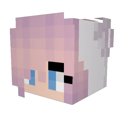 Flutter_Dash Minecraft avatar head, 3D render