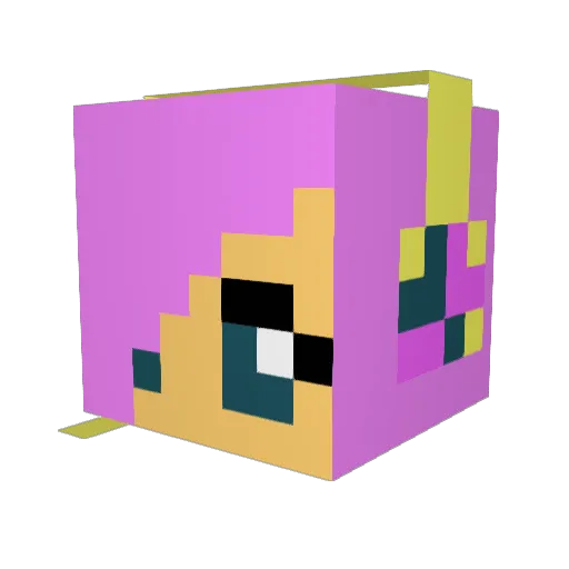 Flutter_S77 Minecraft avatar head, 3D render