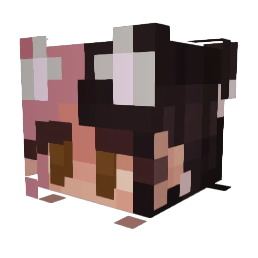 Fluttershy_y_y Minecraft avatar head, 3D render