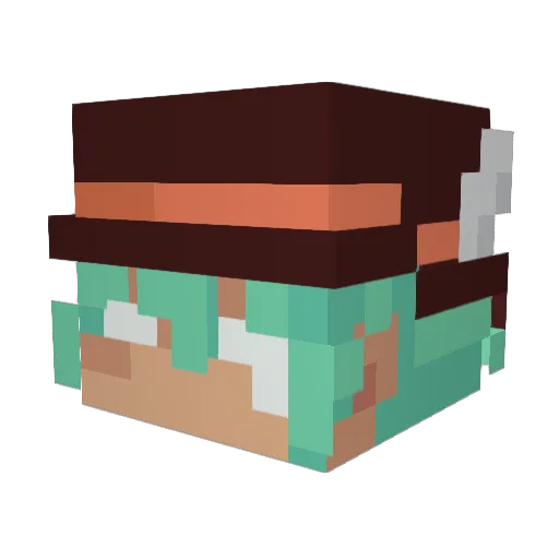 Fluvi_ Minecraft avatar head, 3D render
