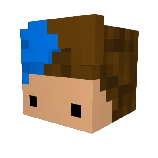 Fluxad Minecraft avatar head, 3D render