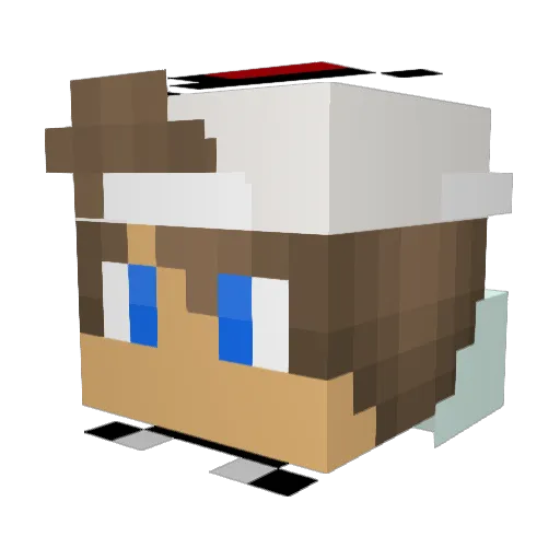 Fluxi1 Minecraft avatar head, 3D render