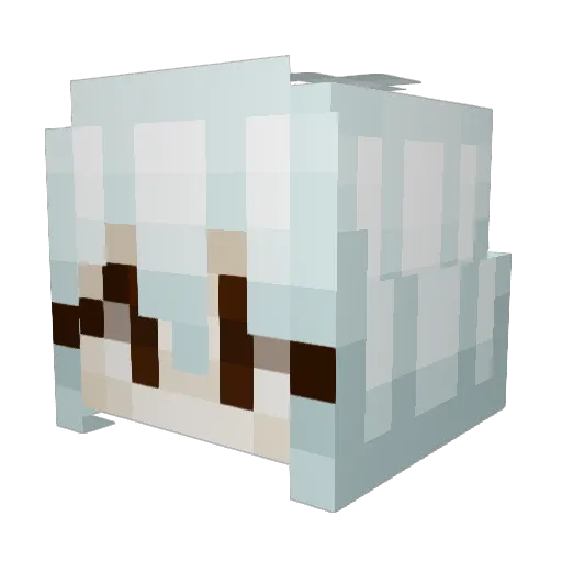 Fluxxarr Minecraft avatar head, 3D render
