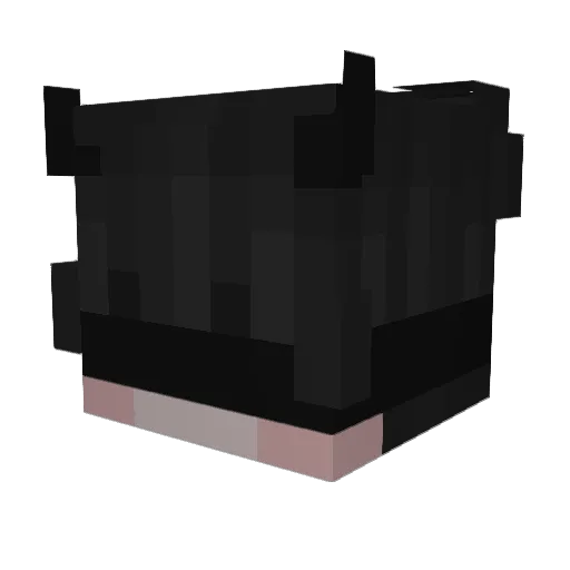 Fluxzar Minecraft avatar head, 3D render