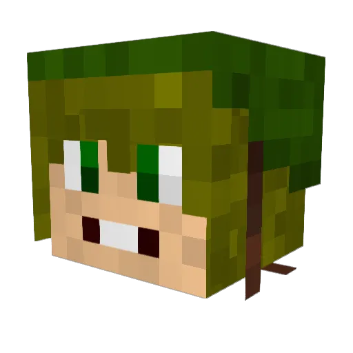 Fluzeh Minecraft avatar head, 3D render