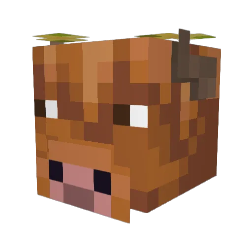 Fluzzerr Minecraft avatar head, 3D render