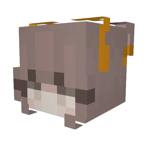 Flvfty Minecraft avatar head, 3D render