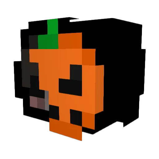 FlxrtyVibxs Minecraft avatar head, 3D render