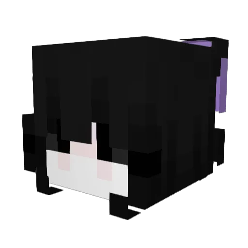 Flxrzinha Minecraft avatar head, 3D render