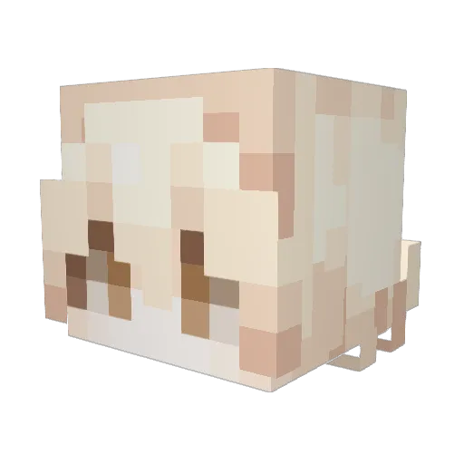 Flxvs04 Minecraft avatar head, 3D render
