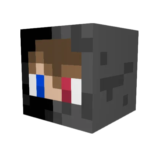 Fly2461 Minecraft avatar head, 3D render