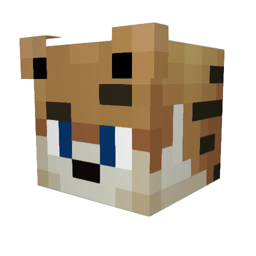 FlyBackCZ Minecraft avatar head, 3D render