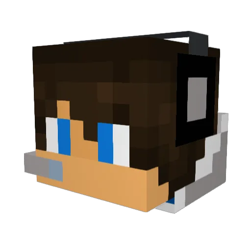 FlyDik Minecraft avatar head, 3D render