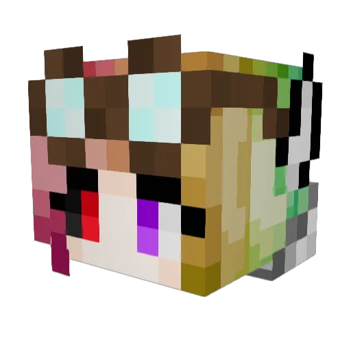FlyFoox1 Minecraft avatar head, 3D render