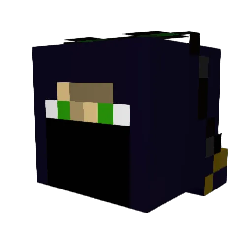 FlyGuy508 Minecraft avatar head, 3D render