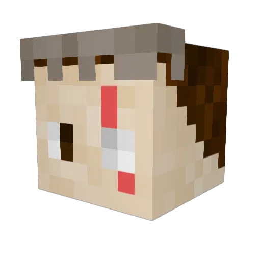 FlyGuyTy Minecraft avatar head, 3D render