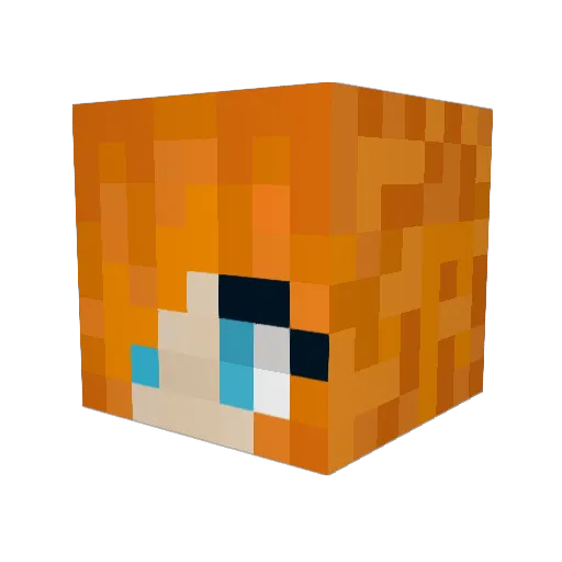 FlyInTheSky01 Minecraft avatar head, 3D render