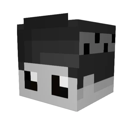 FlyLikeHigh Minecraft avatar head, 3D render