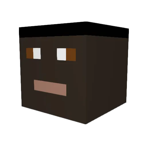 FlyPT5 Minecraft avatar head, 3D render
