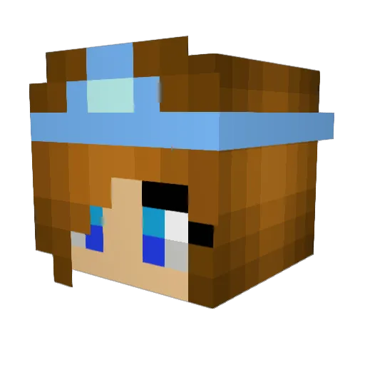 FlyShen Minecraft avatar head, 3D render