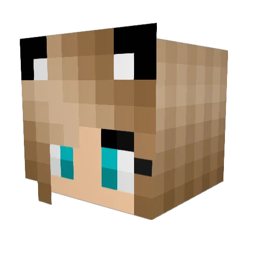 FlySooHigh Minecraft avatar head, 3D render