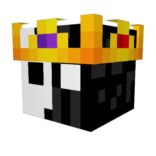 FlyTmack1738 Minecraft avatar head, 3D render