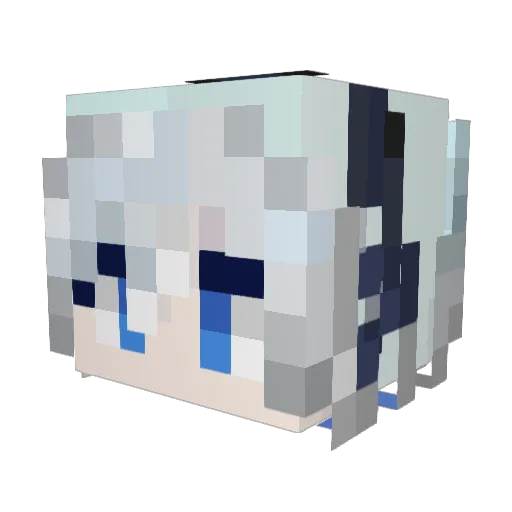 FlyWDY Minecraft avatar head, 3D render