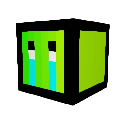 FlyYuanbao123 Minecraft avatar head, 3D render