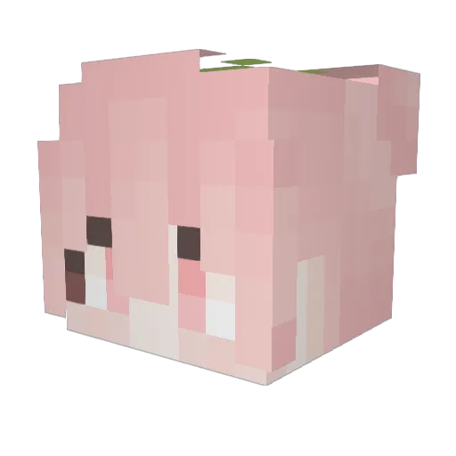 Fly_Tomato Minecraft avatar head, 3D render
