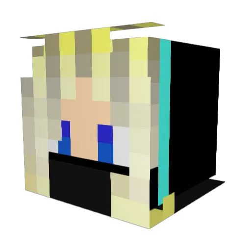 Fly_die_Fliege Minecraft avatar head, 3D render