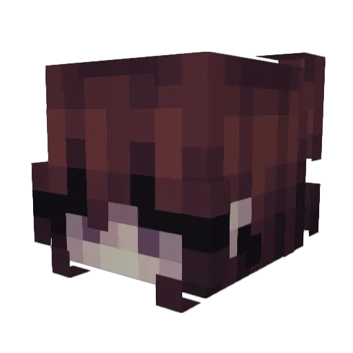 Fly_ura Minecraft avatar head, 3D render