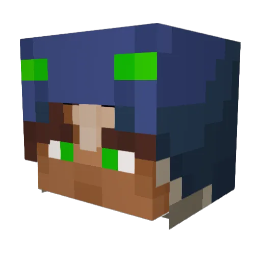 Flyallnp Minecraft avatar head, 3D render