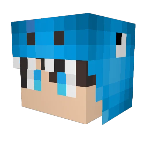 Flycarl0 Minecraft avatar head, 3D render