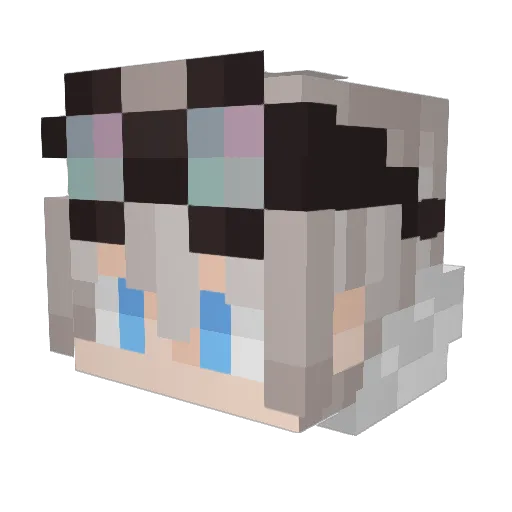FlyerBee86 Minecraft avatar head, 3D render