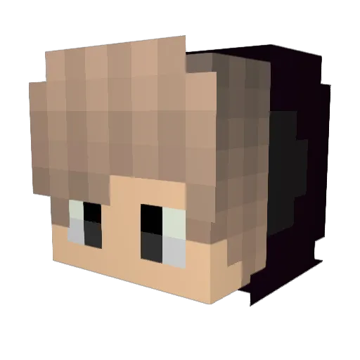 Flyer_ Minecraft avatar head, 3D render