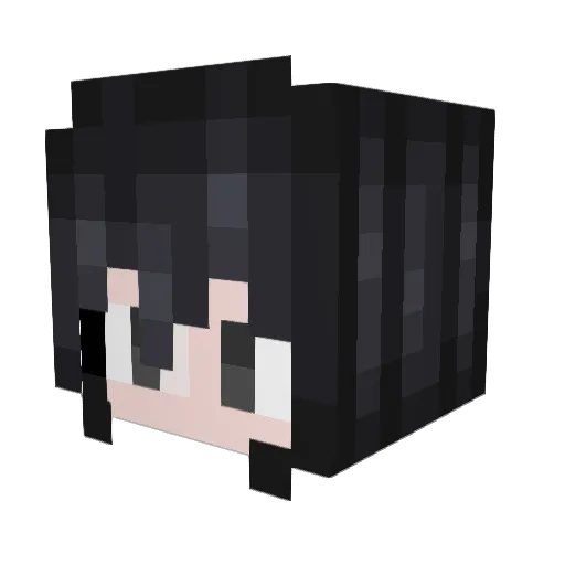 Flyer_voiani Minecraft avatar head, 3D render