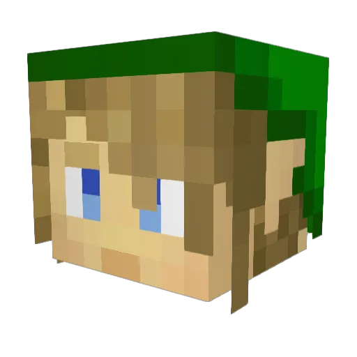 Flyers2818 Minecraft avatar head, 3D render