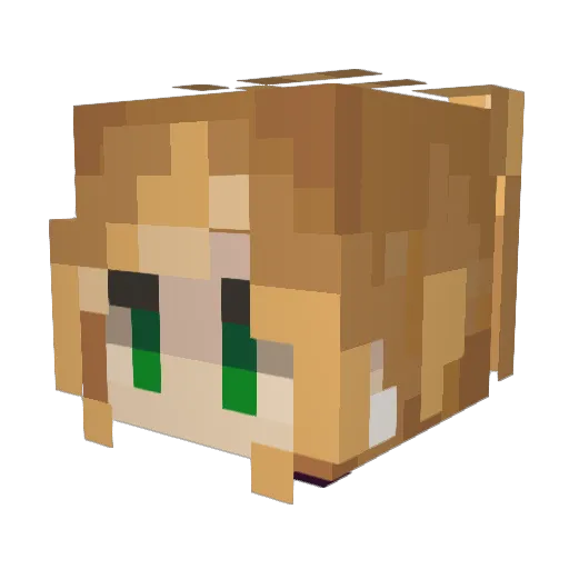 Flyfeather29 Minecraft avatar head, 3D render