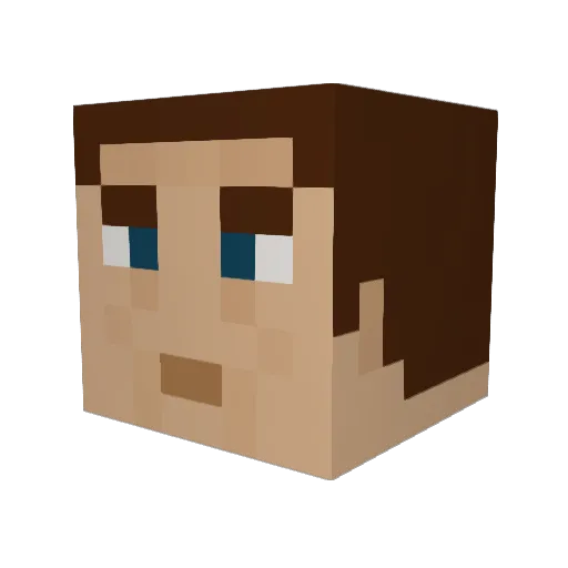 Flyfighter007 Minecraft avatar head, 3D render