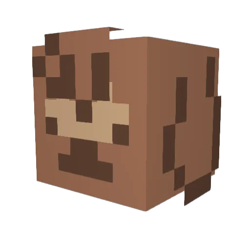 Flyfloyd Minecraft avatar head, 3D render