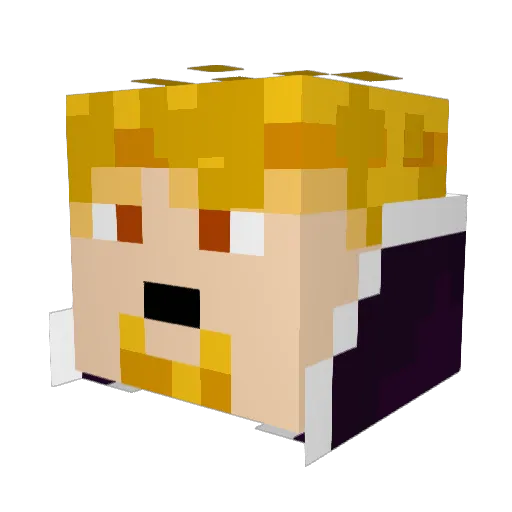 Flygon9001 Minecraft avatar head, 3D render
