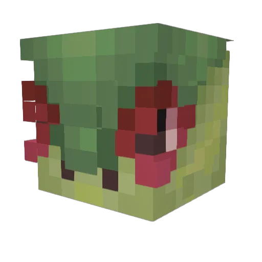 FlygonRacer Minecraft avatar head, 3D render