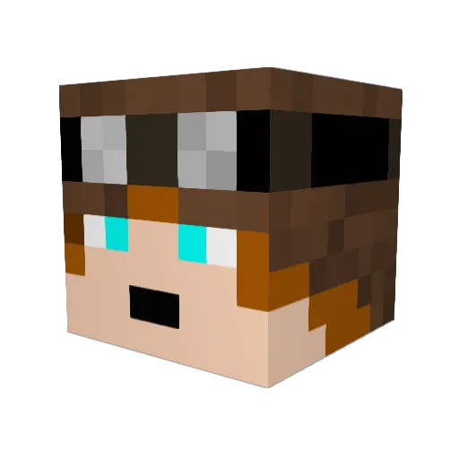 Flyguy5000 Minecraft avatar head, 3D render