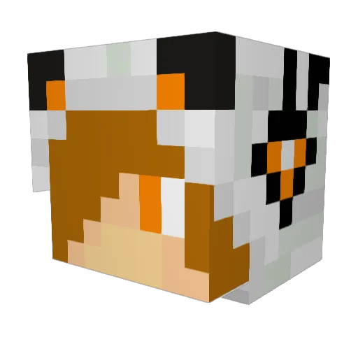 FlyhappyBrian Minecraft avatar head, 3D render