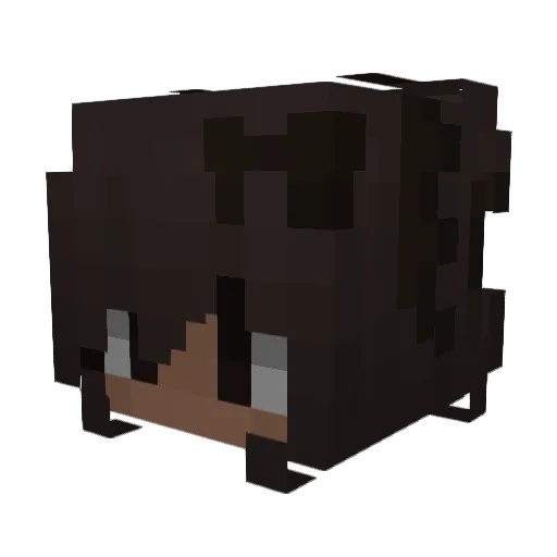 FlyiingPigg Minecraft avatar head, 3D render