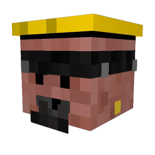 FlyinNimbus Minecraft avatar head, 3D render