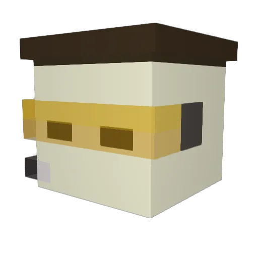 FlyinPineapple97 Minecraft avatar head, 3D render
