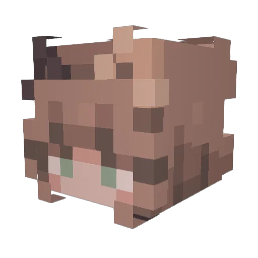 FlyingAngel0814 Minecraft avatar head, 3D render