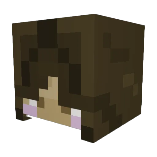 FlyingCandyCat Minecraft avatar head, 3D render